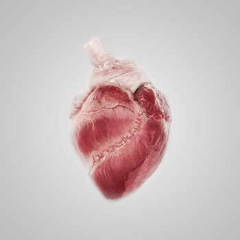 Аритмия - фото